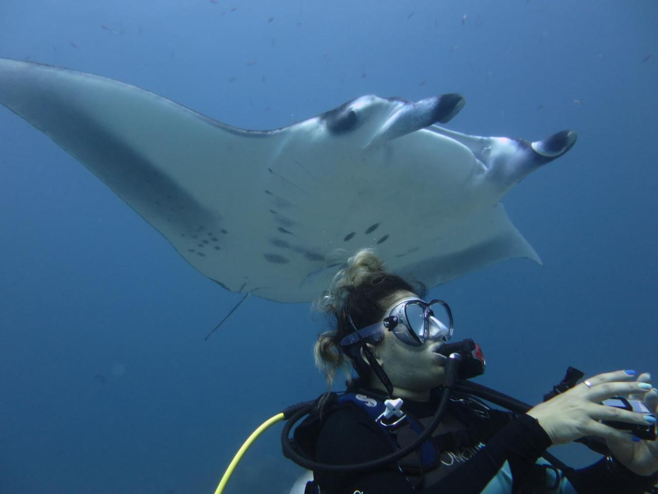 Готель South Ari Dive Center Dhangethi Екстер'єр фото