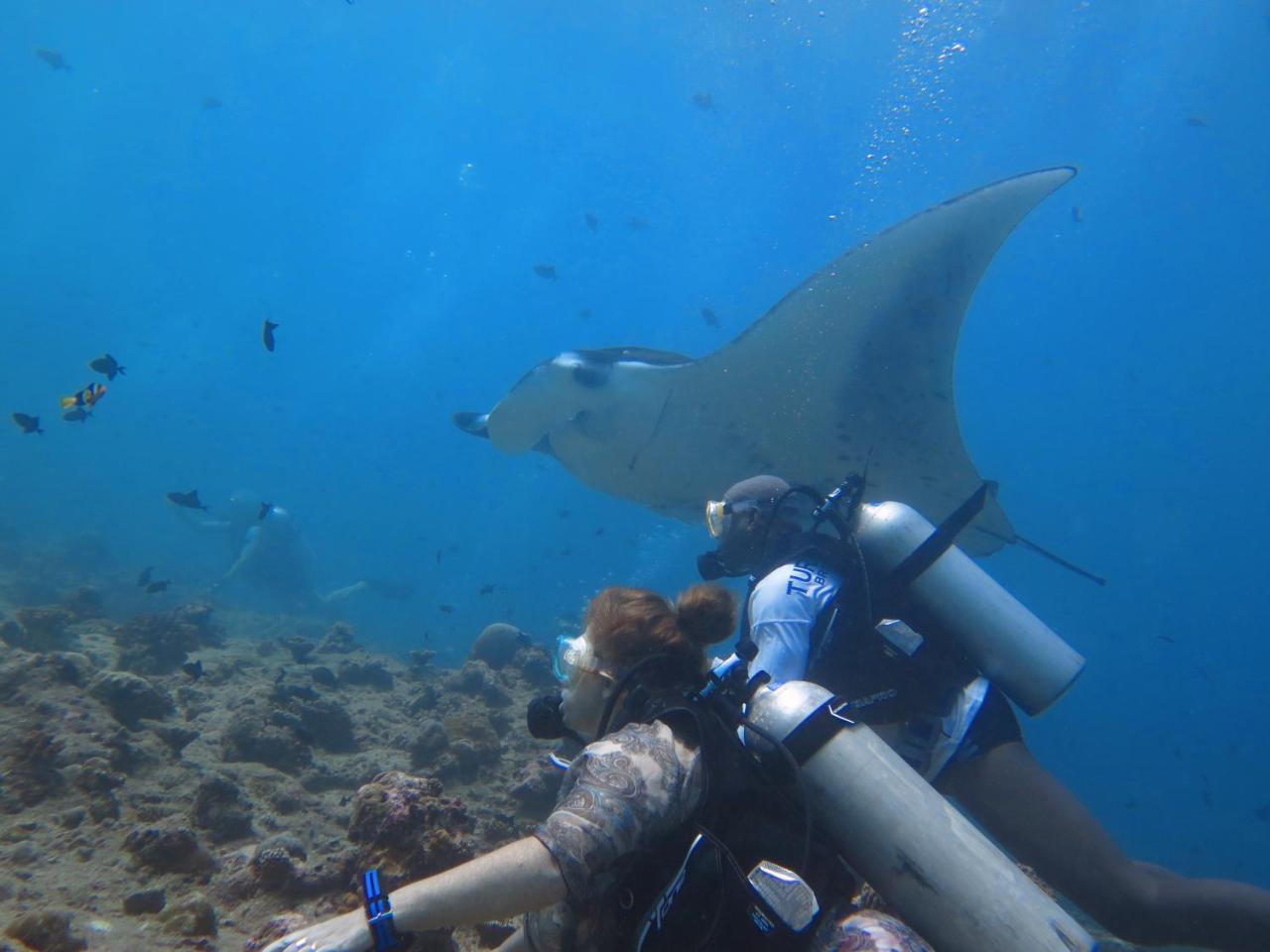 Готель South Ari Dive Center Dhangethi Екстер'єр фото