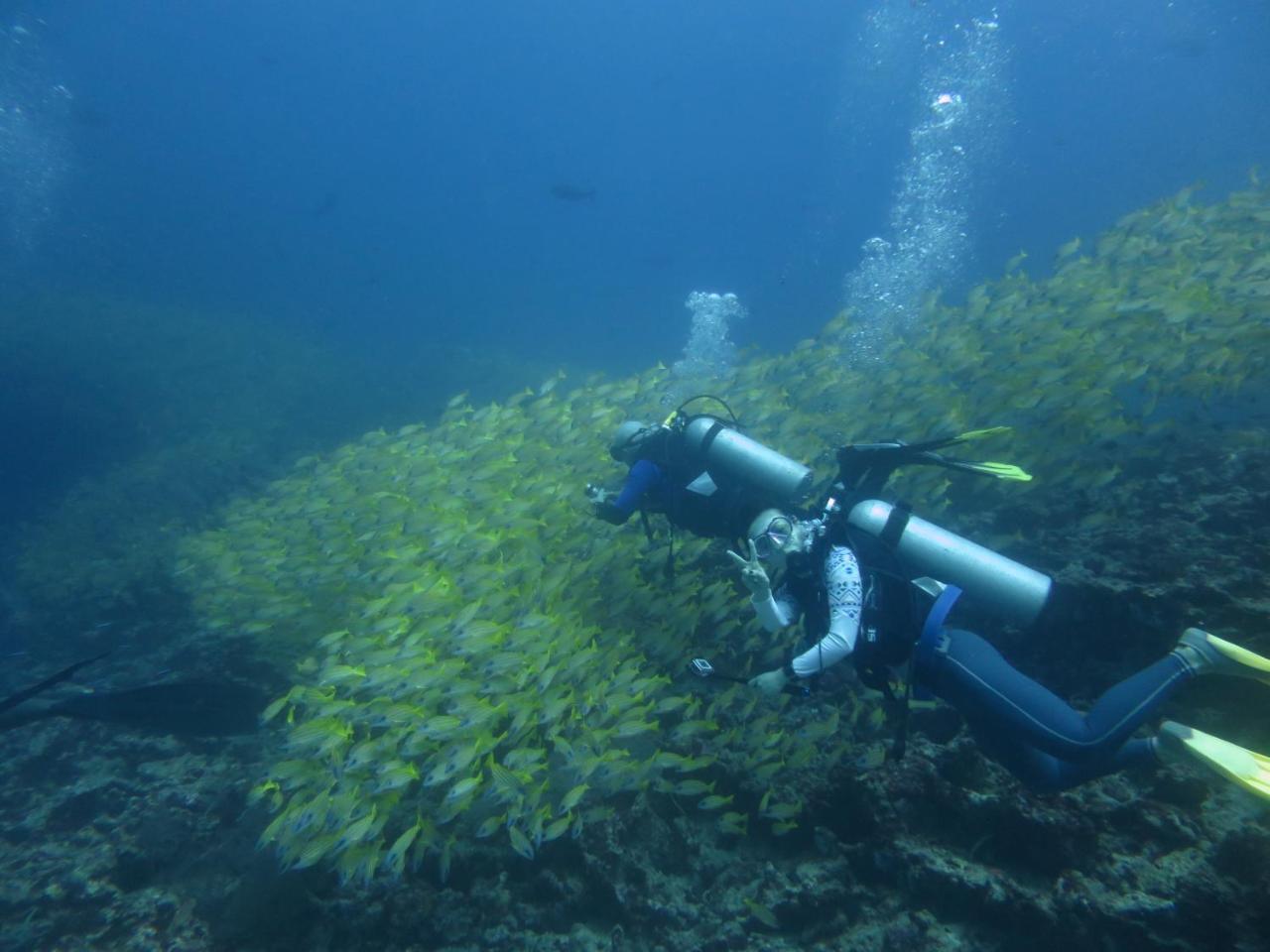 Готель South Ari Dive Center Dhangethi Екстер'єр фото